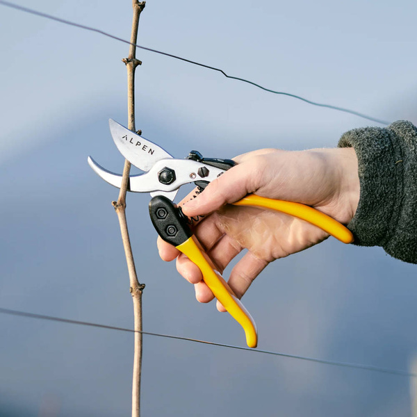 Sekator Alpen Gelbhorn 150