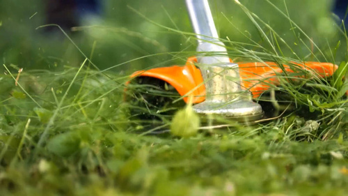 Kosa spalinowa Stihl FS 55 z głowica żyłkowa AC 25-2