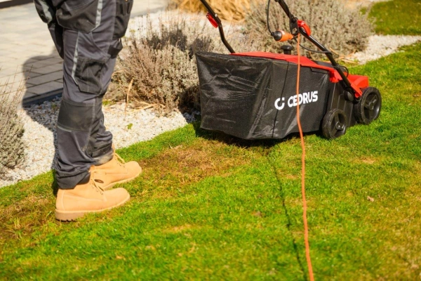 Wertykulator elektryczny Cedrus WE40 CEDWE40