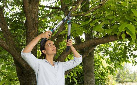 Nożyce do gałęzi EasyCut 500 B GARDENA 12002-20