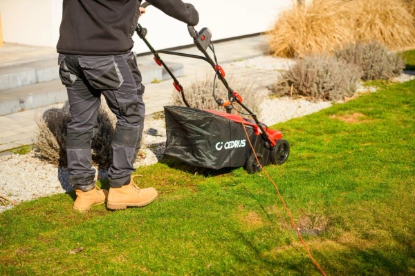 Wertykulator elektryczny Cedrus WE40 CEDWE40