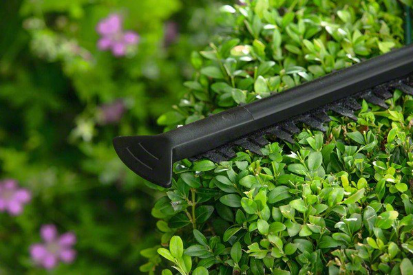 Nożyce do żywopłotu Bosch EasyHedgeCut 55