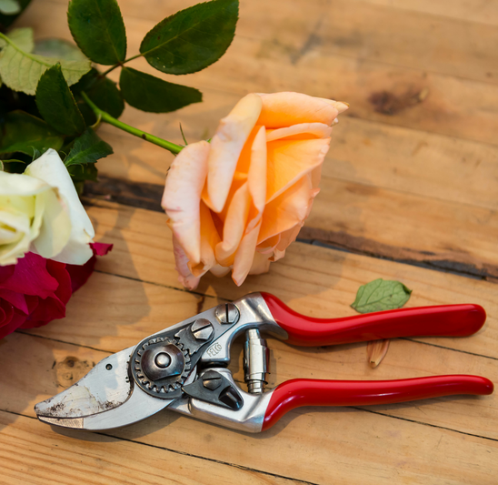 Sekator ręczny FELCO 14 18 cm