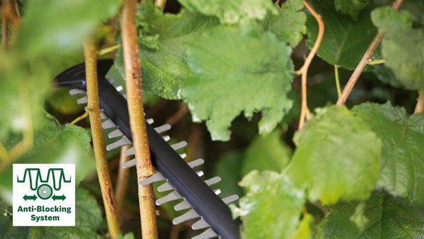 Nożyce do żywopłotu Bosch AdvancedHedgeCut 36V-65-28