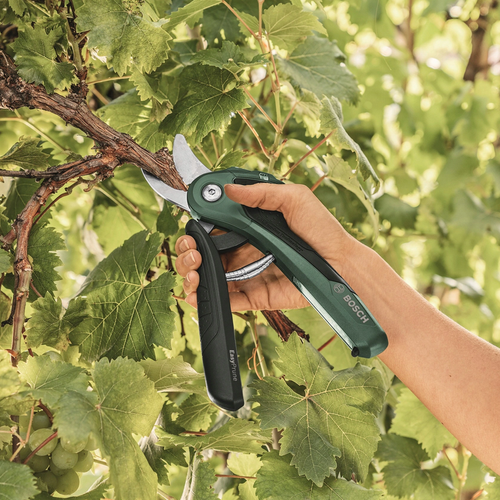 Sekator Bosch EasyPrune