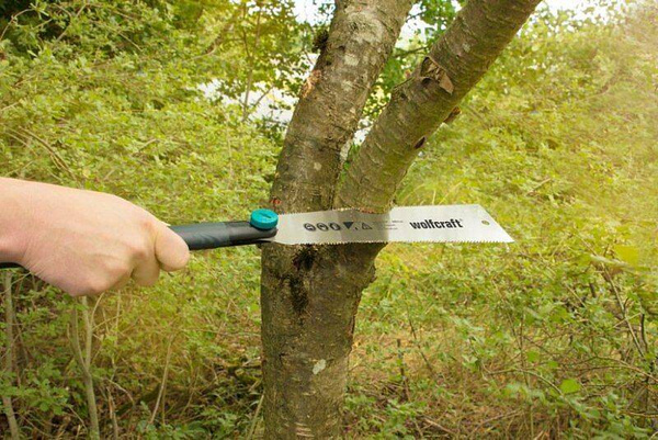 Piła japońska Wolfcraft WF6951000 240 mm