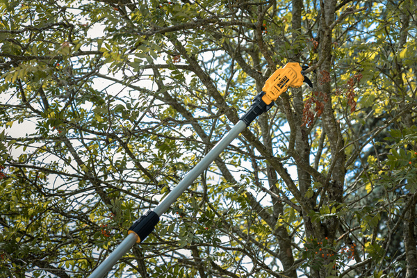 Sekator akumulatorowy teleskopowy Dewalt DCMPP569P1