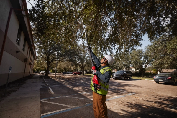 Sekator teleskopowy do gałęzi Milwaukee M18 BLTS-551