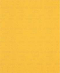 Rolki papieru ściernego do szlifowania ręcznego EXPERT C470 230 mm x 280 mm, G 240