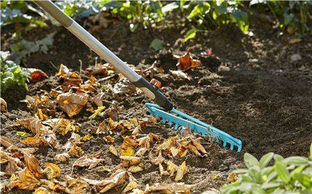 Grabie kabłąkowe 36cm Combisystem GARDENA 03168-20