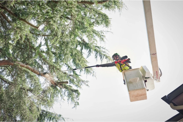 Podkrzesywarka teleskopowa Milwaukee M18 FTPS30-121