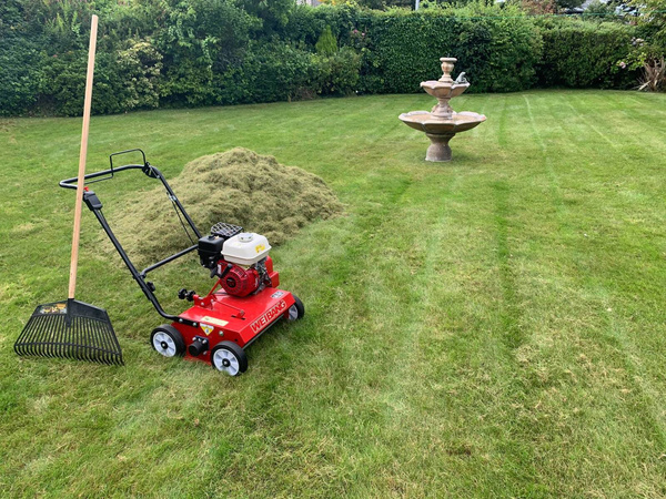 Wertykulator spalinowy Weibang WB486CRB