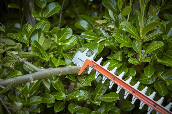 Nożyce do żywopłotu BEHTS551-QS Black&Decker