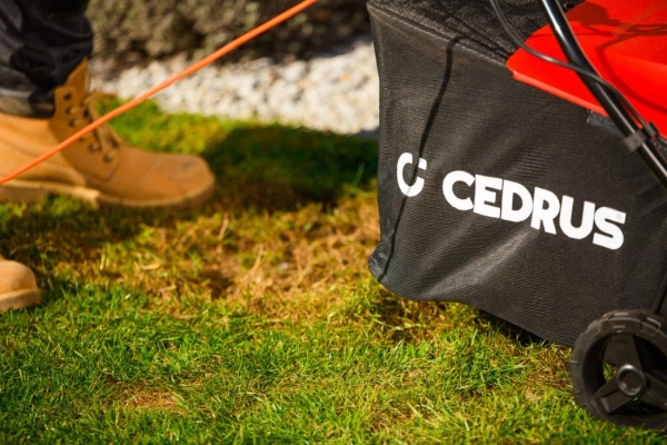 Wertykulator elektryczny Cedrus WE40 CEDWE40