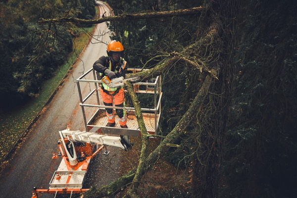 Pilarka akumulatorowa Stihl MSA 190 T MA052000021