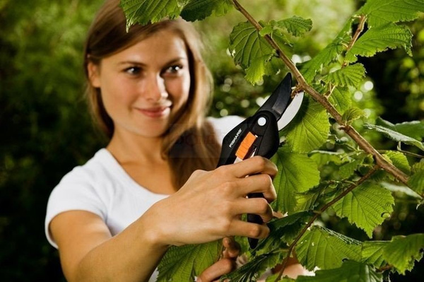 Sekator nożycowy Fiskars P26