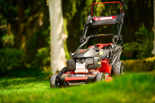 Kosiarka spalinowa z napędem Cedrus KS53S-H AL z silnikiem Honda