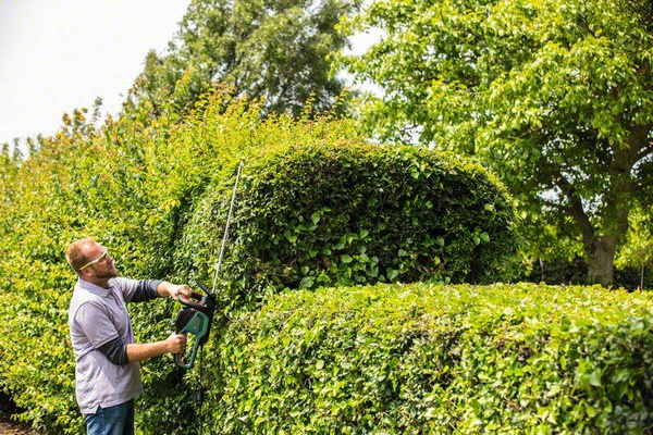 Nożyce do żywopłotu Bosch AdvancedHedgeCut 65