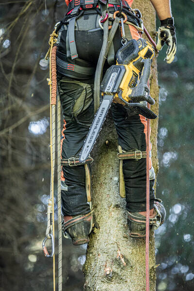 Pilarka łańcuchowa Dewalt DCMCST635X1