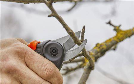 Sekator ogrodowy ExpertCut GARDENA 12203-20