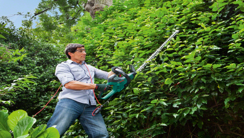 Sekator do żywopłotu Bosch AHS 65-34