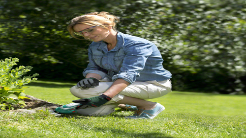 Nożyce do trawy Bosch ISIO 3 (0600833102)