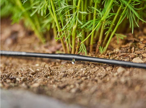 Linia kroplująca Gardena 01362-29