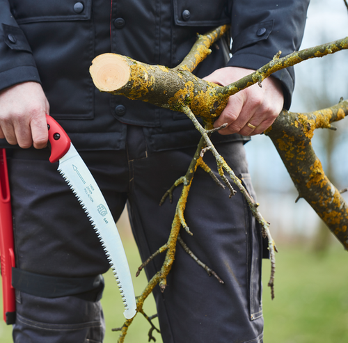 Piła FELCO 640 27 cm z hakiem + kabura
