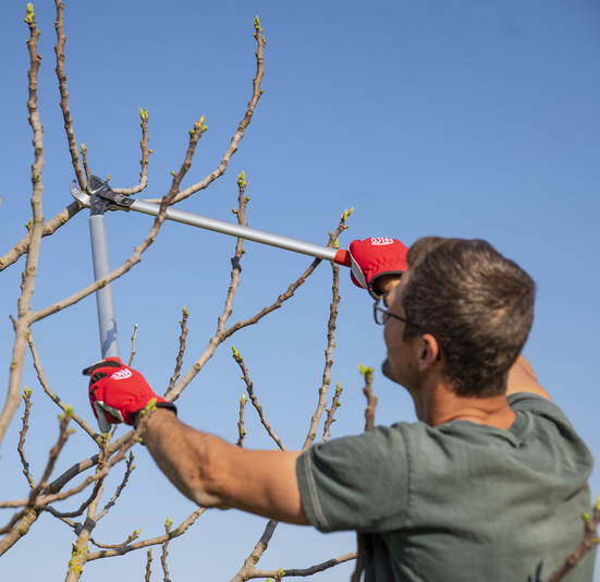 Sekator FELCO 231 80 cm z kowadłem zakrzywionym
