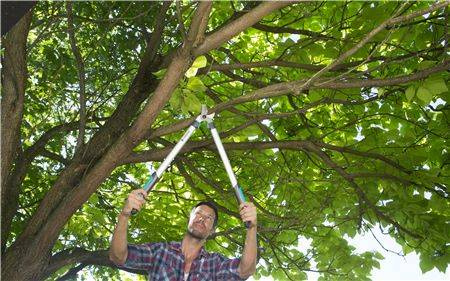 Sekator Gardena EasyCut 680 B