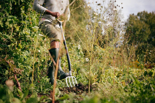 Widły Fiskars Xact 1070716