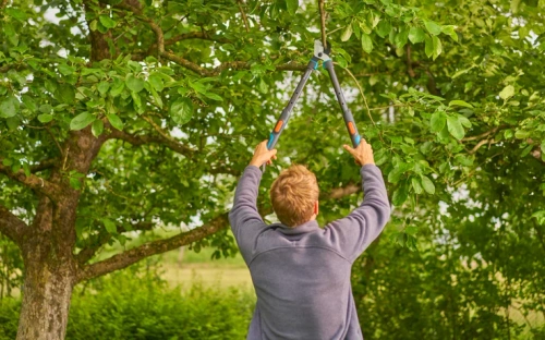 Nożyce do gałęzi Gardena TeleCut Pro S 12040-20