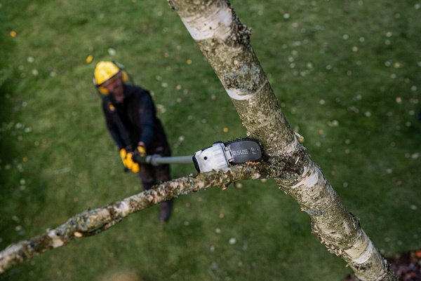 Podkrzesywarka Dewalt DCMPS635N