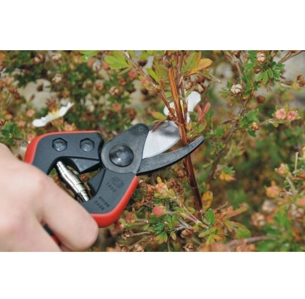 Sekator FELCO 160S 20 cm