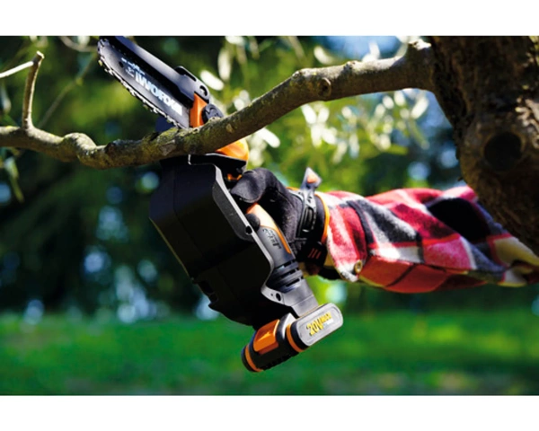 Pilarka akumulatorowa do gałęzi Worx WG324E.9