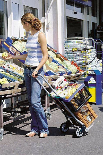 Wózek transportowy Wolfcraft TS600 - składany, max. 70 kg WF5505000