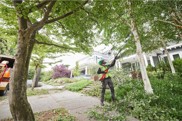 Podkrzesywarka teleskopowa Milwaukee M18 FTPS30-0