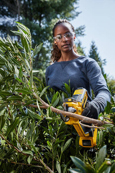 Sekator DeWALT DCMPP568K