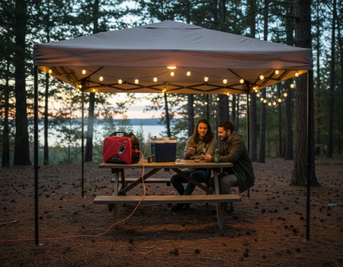 Agregat prądotwórczy Fogo F 2001 IS