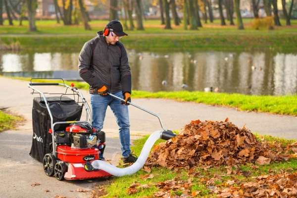 Materiałowy kosz do odkurzacza Cedrus LV58S 9500122