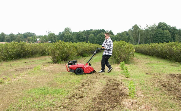 Glebogryzarka spalinowa Cedrus GL03PRO-LC