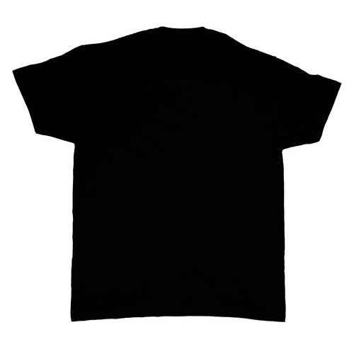 Koszulka T-Shirt z logo Stanley rozm. L