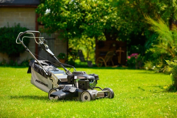 Kosiarka spalinowa Weibang WB537SC V 3w1