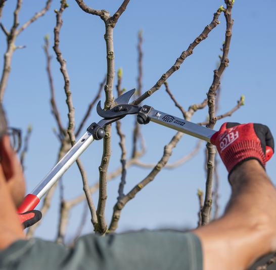 Sekator FELCO 211-60 60 cm