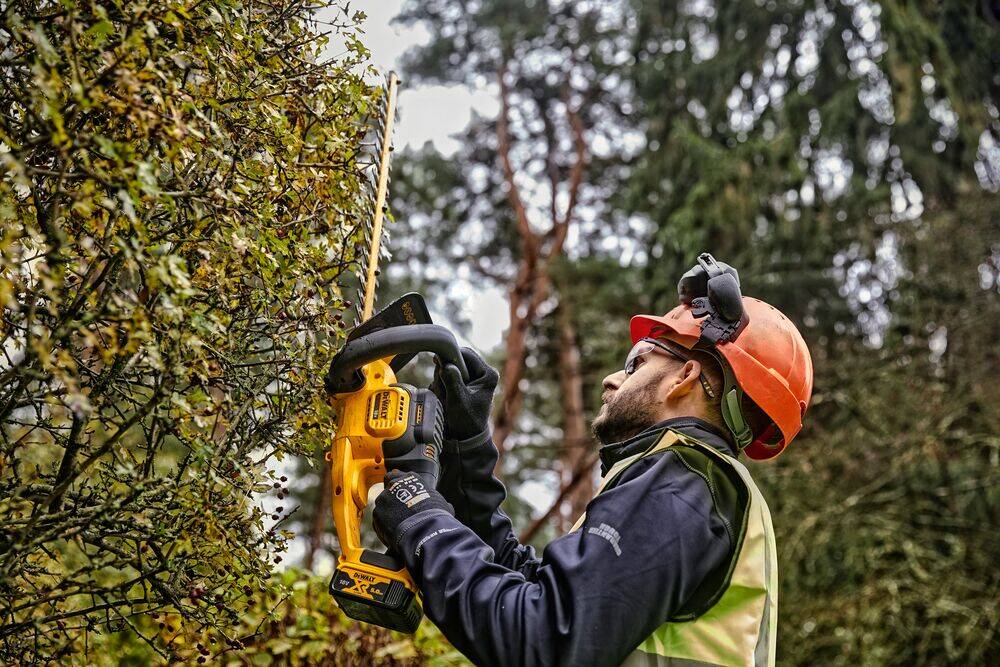 Akumulatorowe nożyce do żywopłotu marki Dewalt